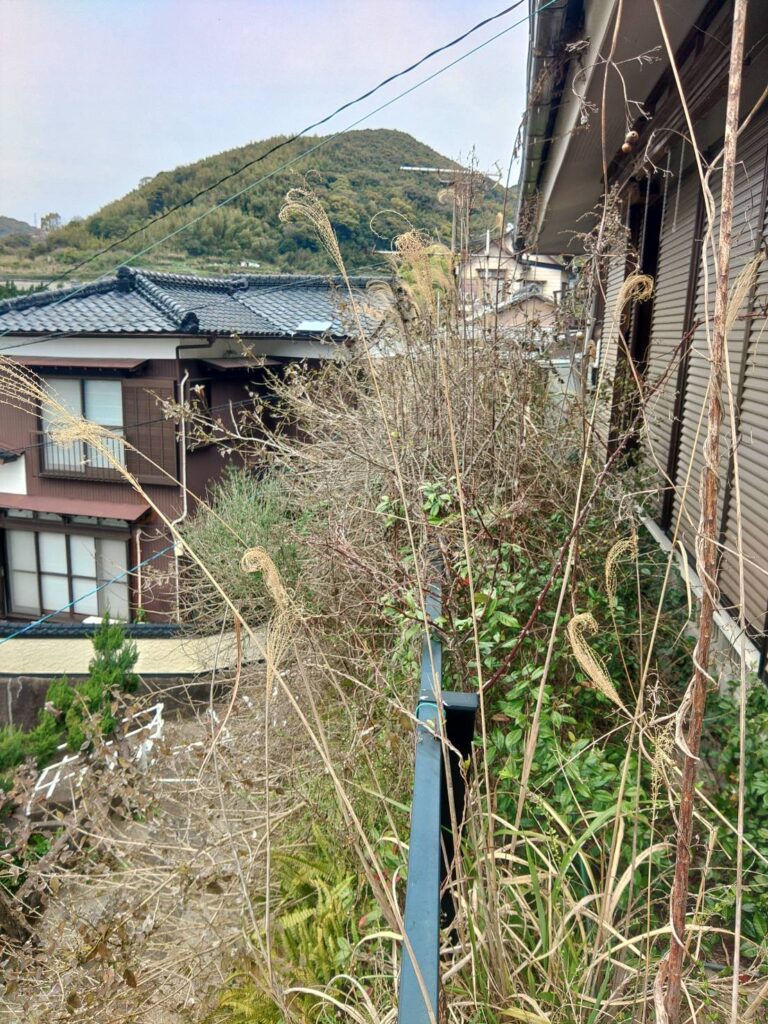 長崎市で剪定（草むしり）　草ストレスからの解放！お気軽にご相談ください　