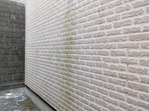 長崎市の外壁塗装｜北側の外壁だけ緑色になるのはなぜ？コケ・カビの原因と根本対策